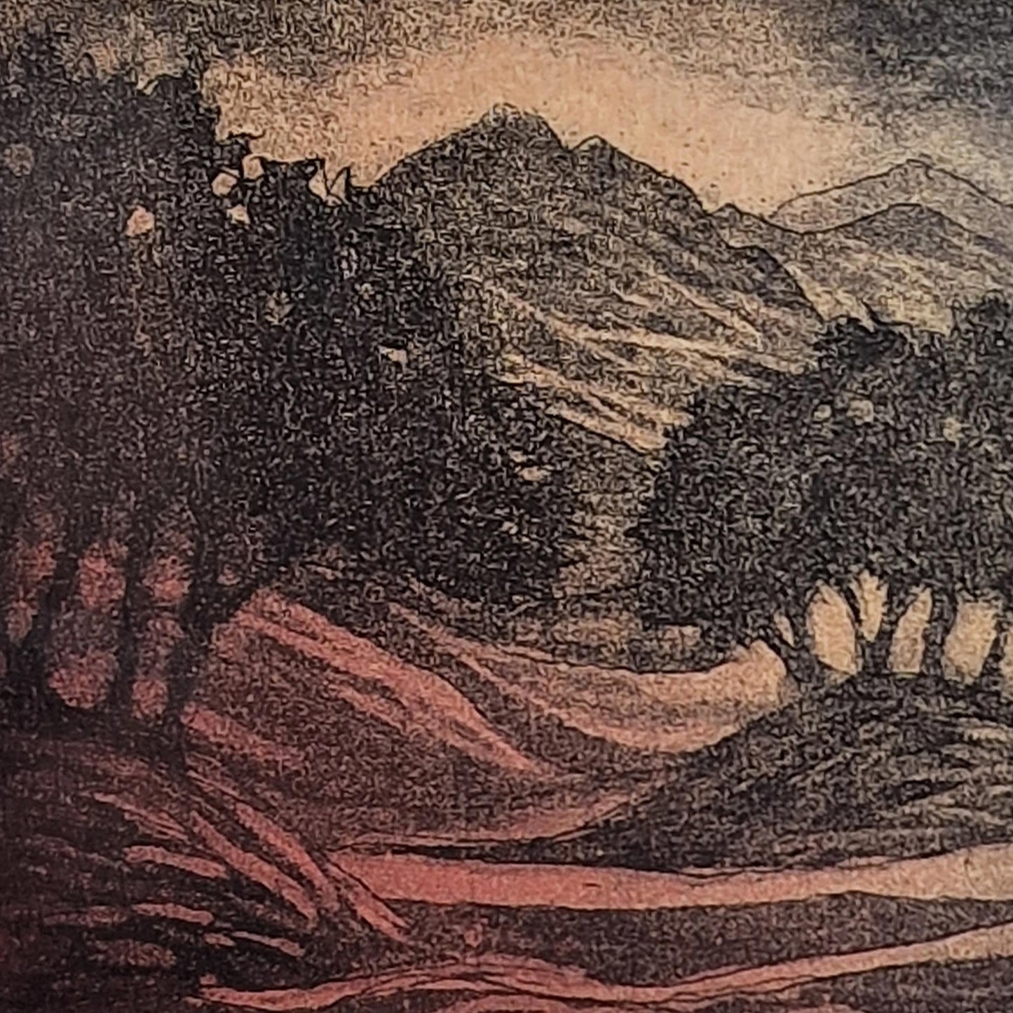 Two Copse 7/25 | Aquatint Etching