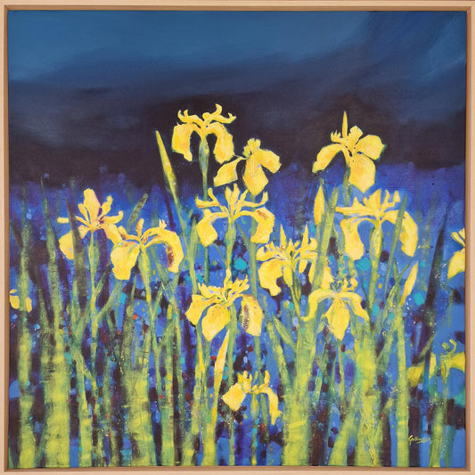 Wild Flag Irises |