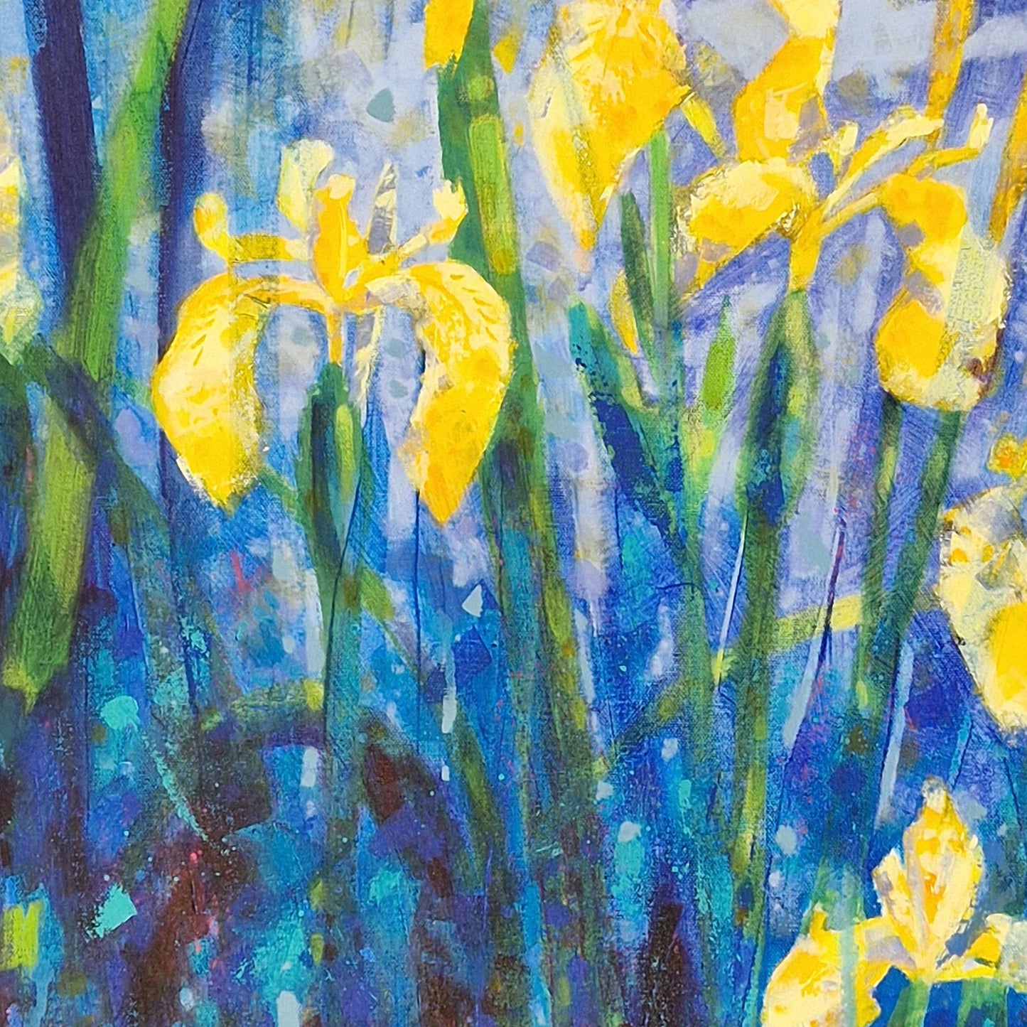 Wild Irises, Tulloch |