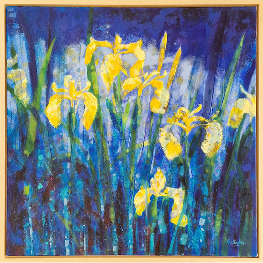 Wild Irises, Tulloch |