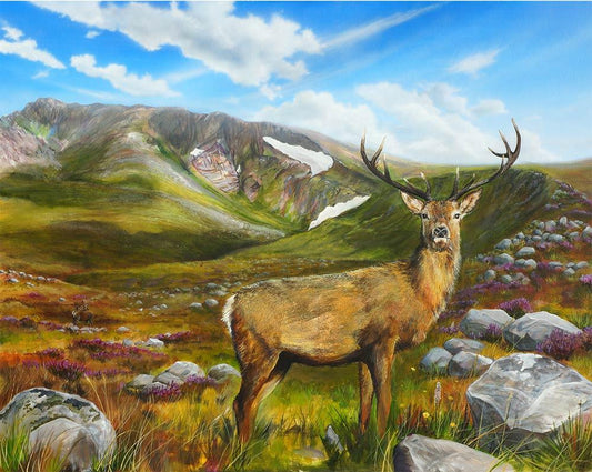 Muckrach Stag Metal Print by Angus Grant Art
