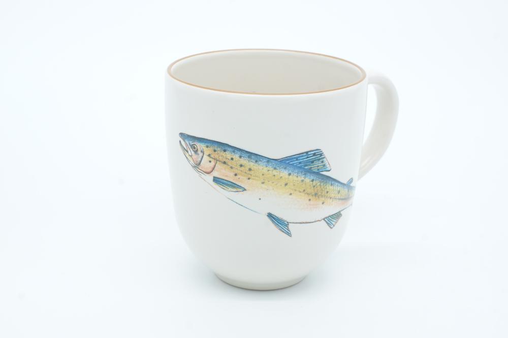 Salmon Chunky Mug by Angus Grant Art